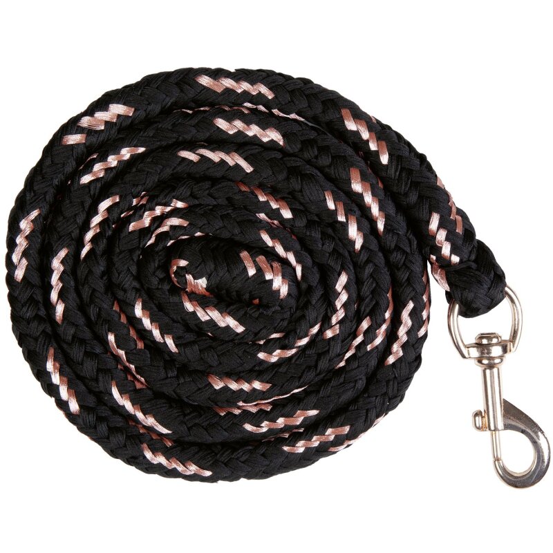 Lead rope with carabiner