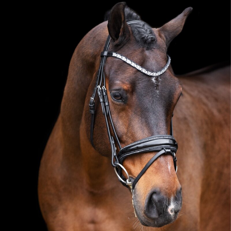 IR Bridle Olympia, 109,95