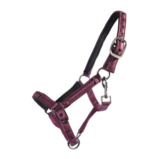 QHP Foal Halter Lily