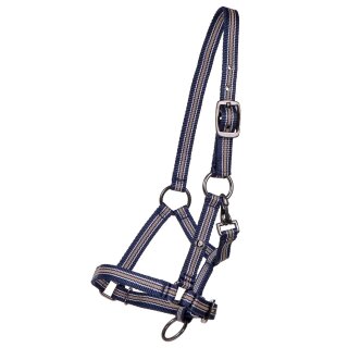 QHP Foal Halter Collection