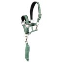 Biemann halter with tie rope