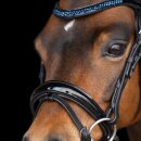 Imperial riding bridle IRH Petit