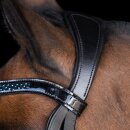 Imperial riding bridle IRH Petit