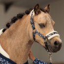 Imperial Riding Halter IRHPetit